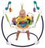 Прыгунки Fisher Price Морские чудеса(Копия)
